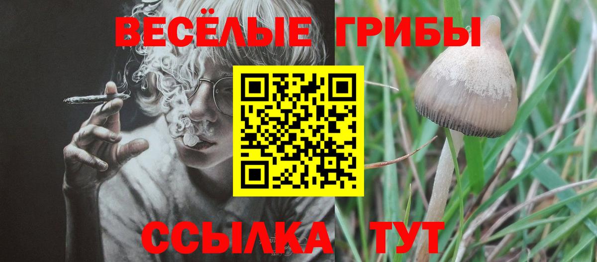 Галлюциногенные грибы мухоморы Миасс