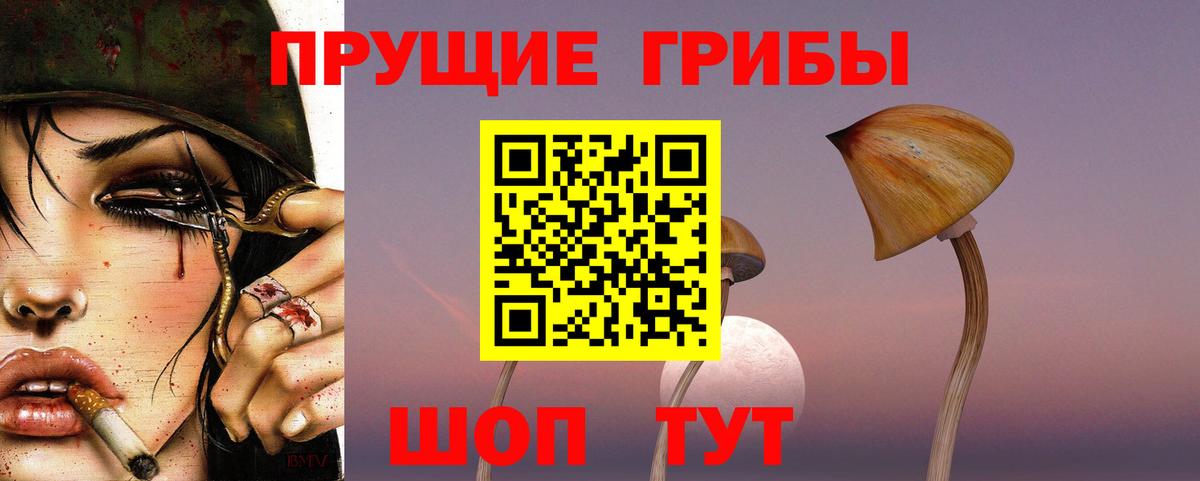 Псилоцибиновые грибы прущие грибы  Вход с VPN  Миасс 